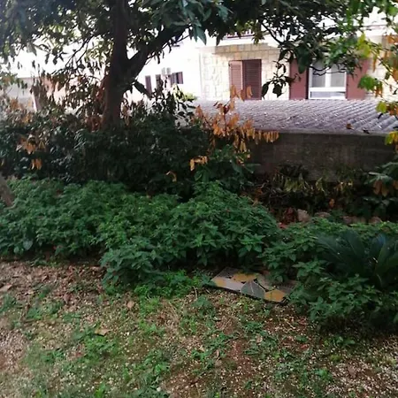 Charming Center Terrace & Parking Holiday home