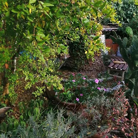 Charming Center Terrace & Parking Holiday home