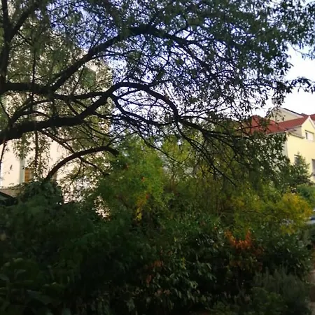 Charming Center Terrace & Parking Holiday home