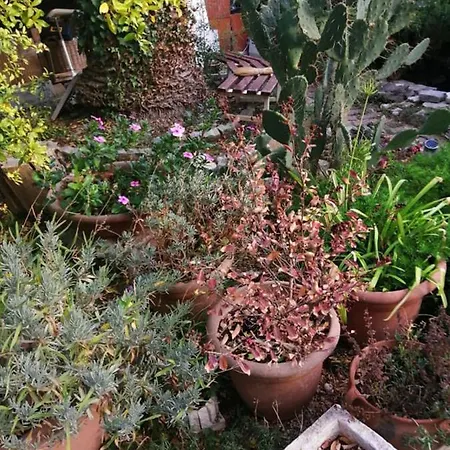 Charming Center Terrace & Parking Holiday home