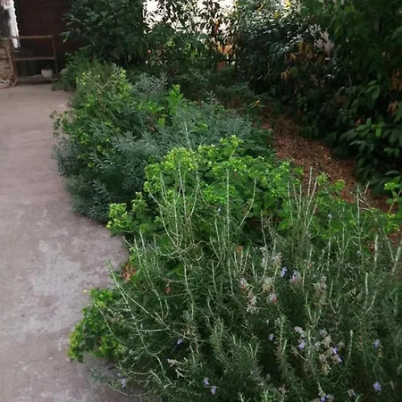 Charming Center Terrace & Parking Split