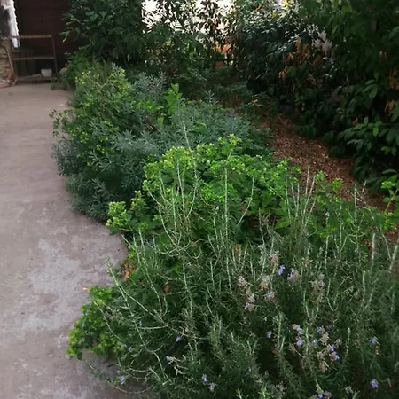 Charming Center Terrace & Parking